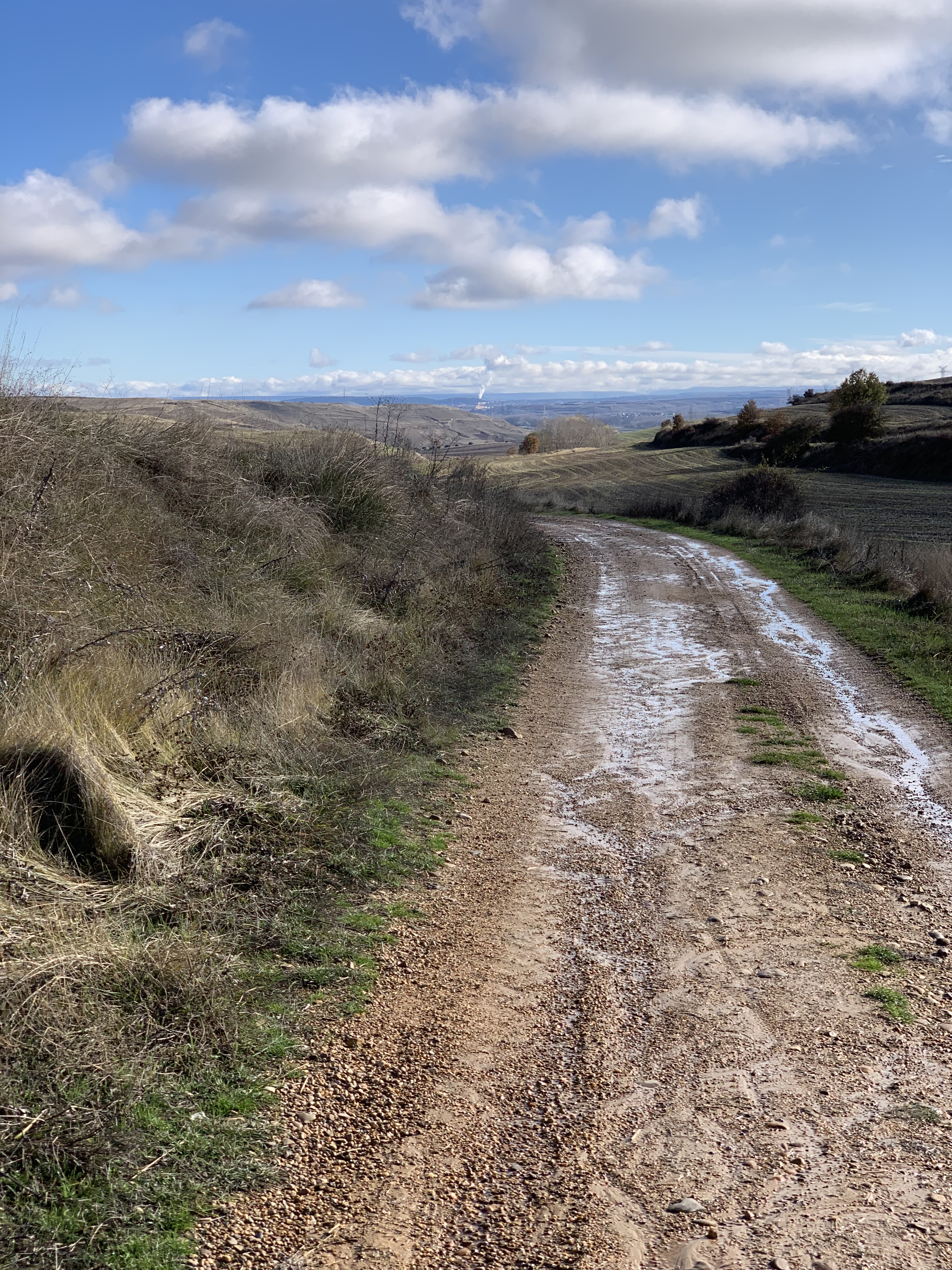 A dirt path surrounded by low vegetation and hills under a blue sky with fluffy clouds.