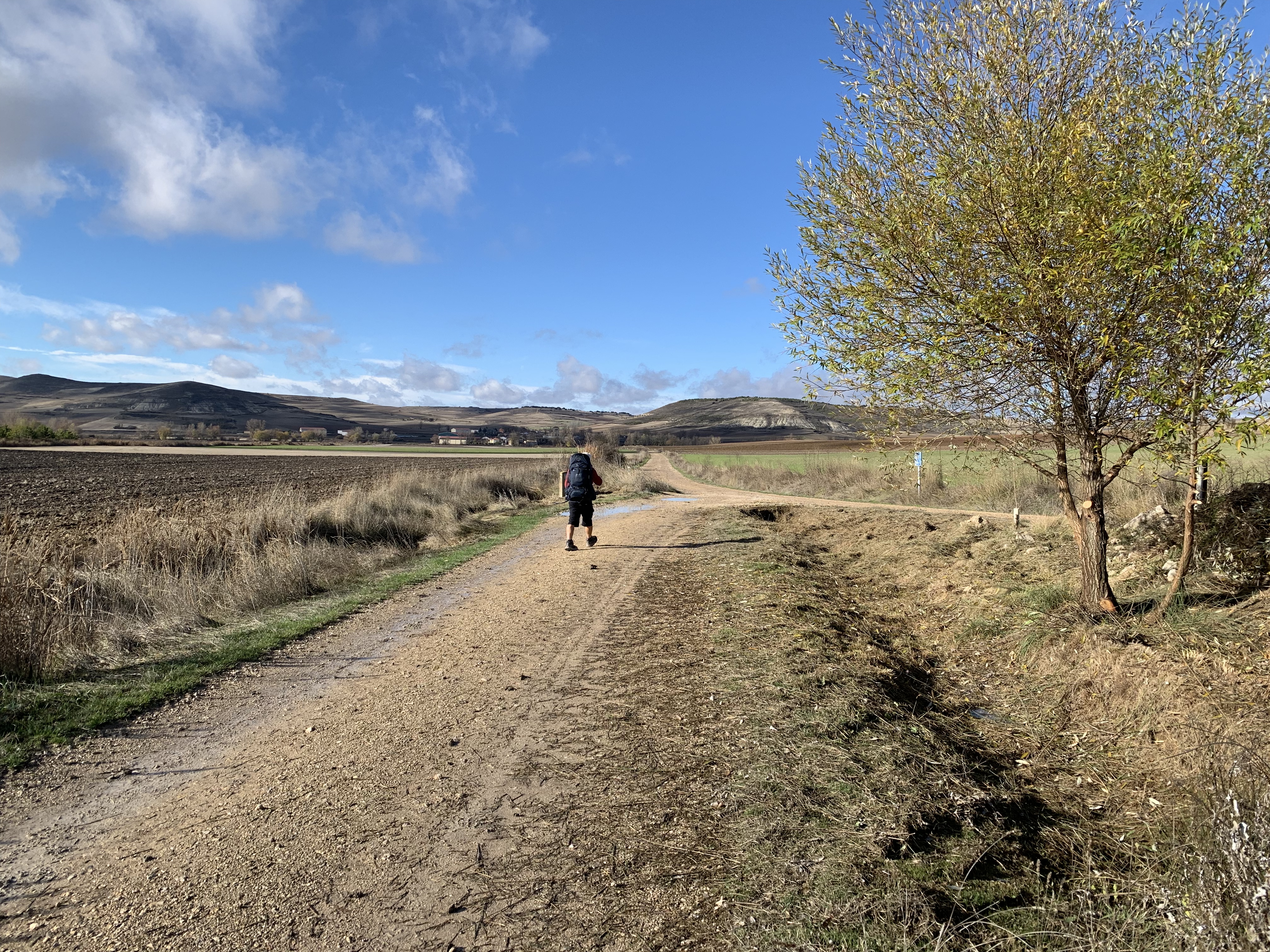 A landscape view of a dirt path alongside fields, with a hiker walking towards the horizon under a partly cloudy sky.