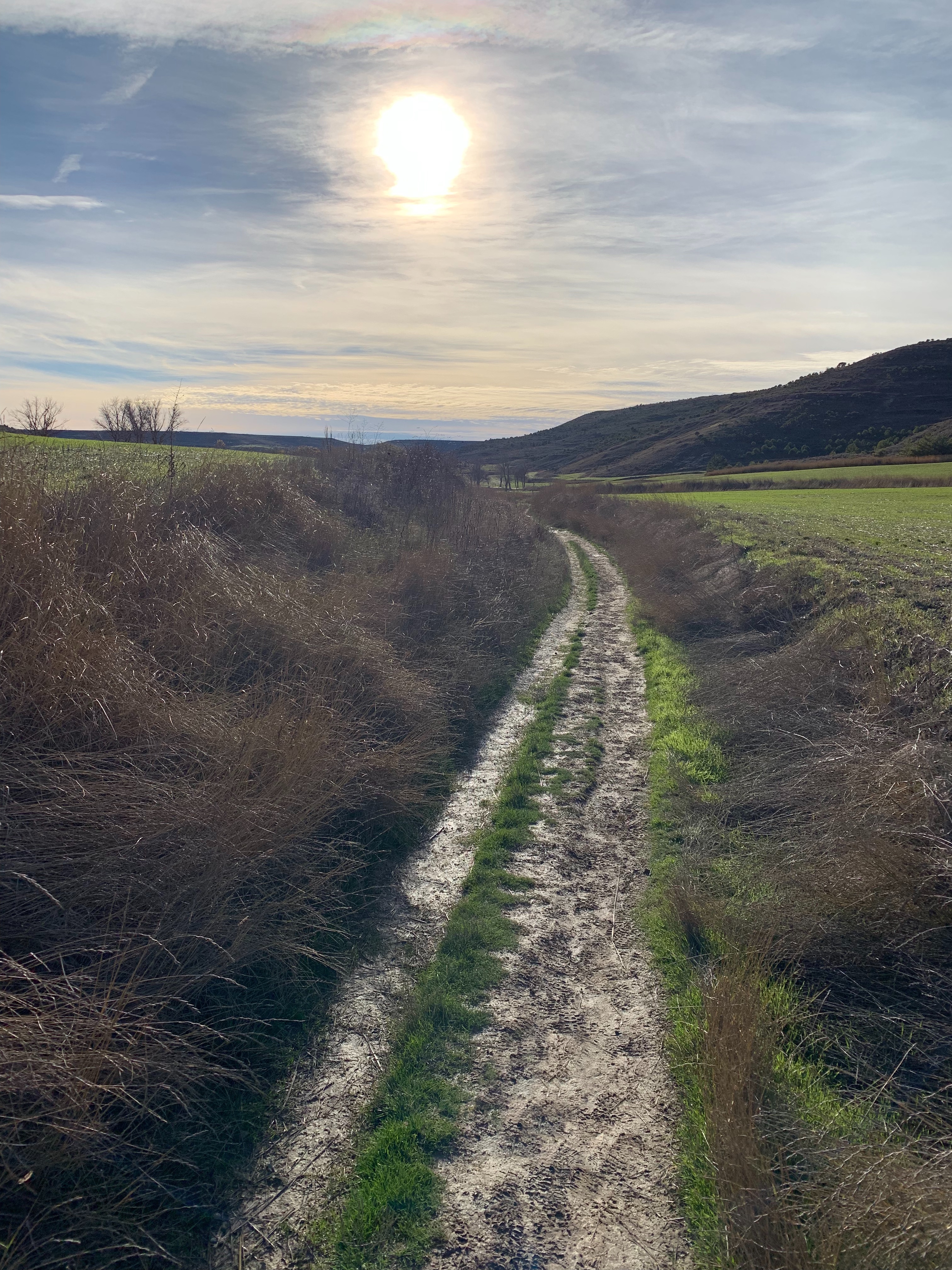 A winding dirt path bordered by dry grass and green foliage, leading towards rolling hills under a cloudy sky with the sun shining brightly above.