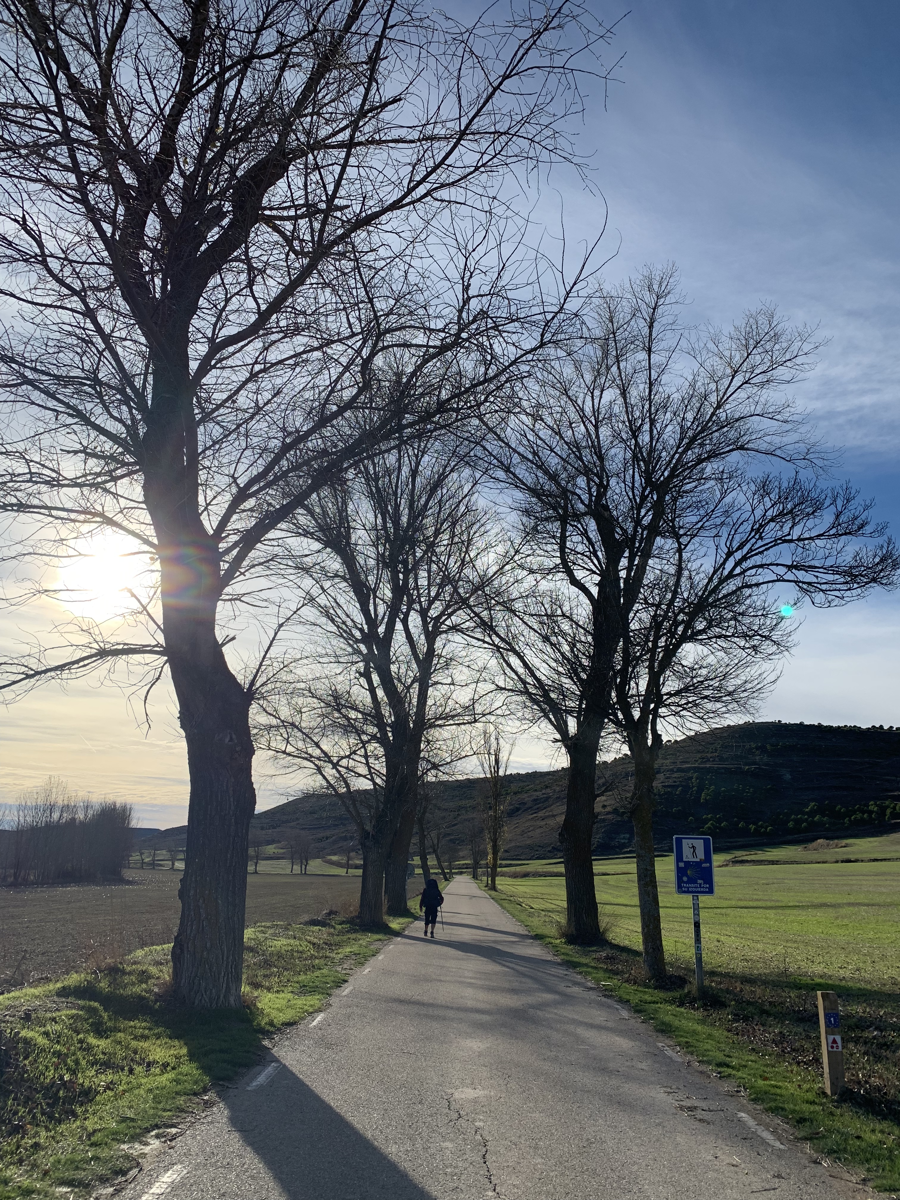 A traveler walks along a quiet road lined with bare trees, with a sunlit landscape and gentle hills in the background.