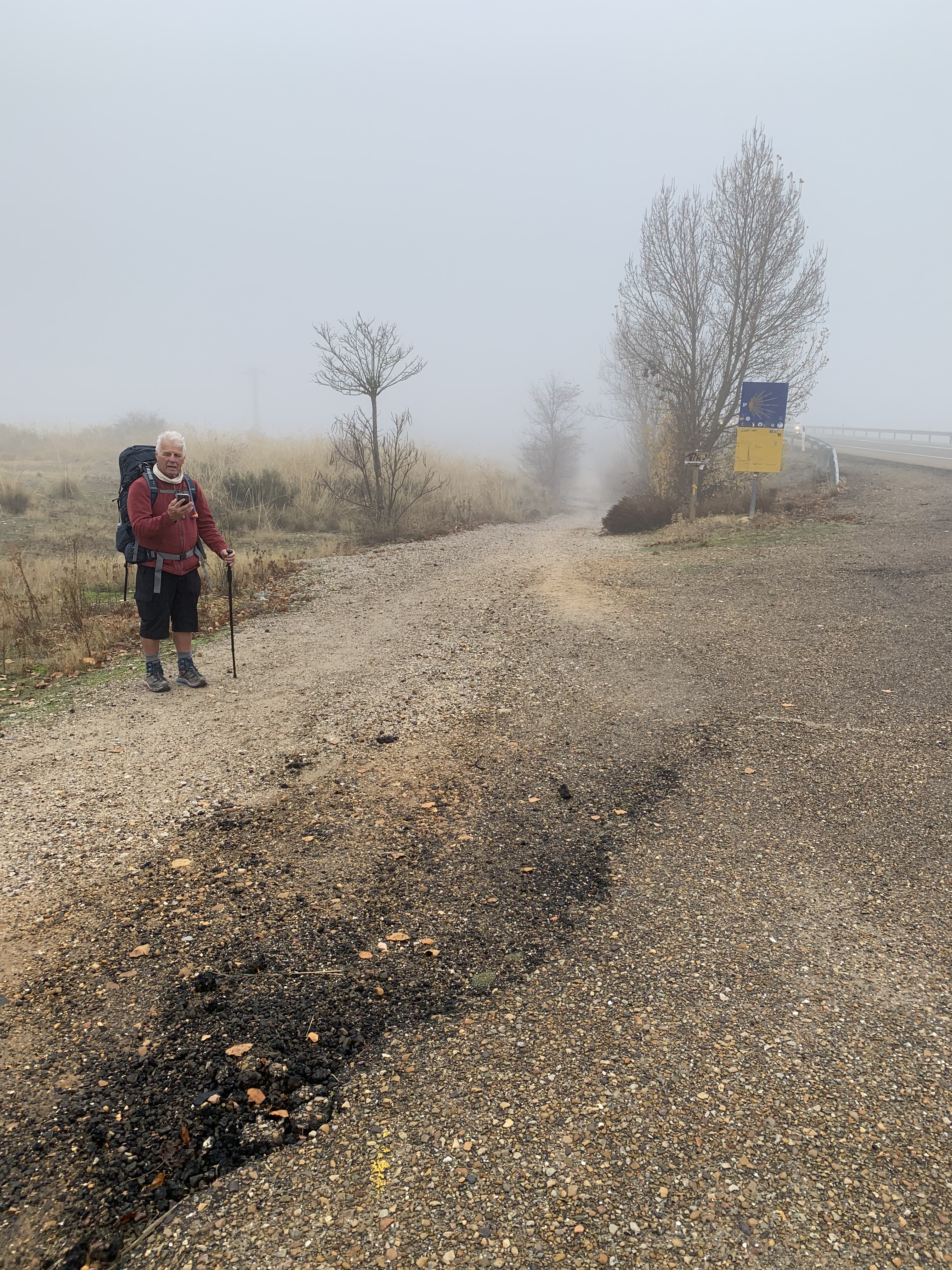 A hiker stands on a misty path, holding a phone, with a backpack on and a walking stick by his side. Bare trees are visible in the foggy background.