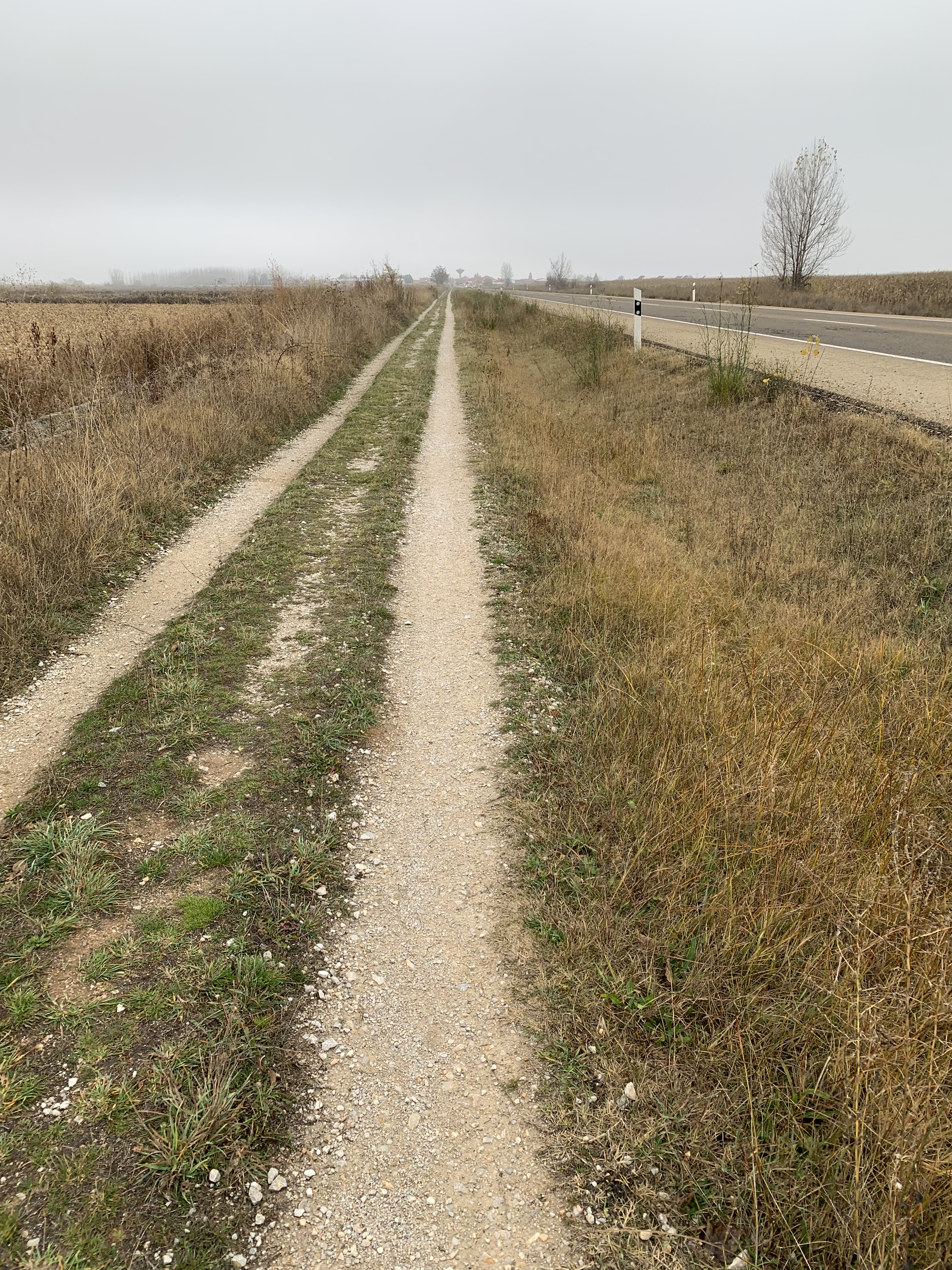 A misty path alongside a busy highway, bordered by tall grass and overgrown vegetation, suggesting a quiet yet uninteresting walking route.