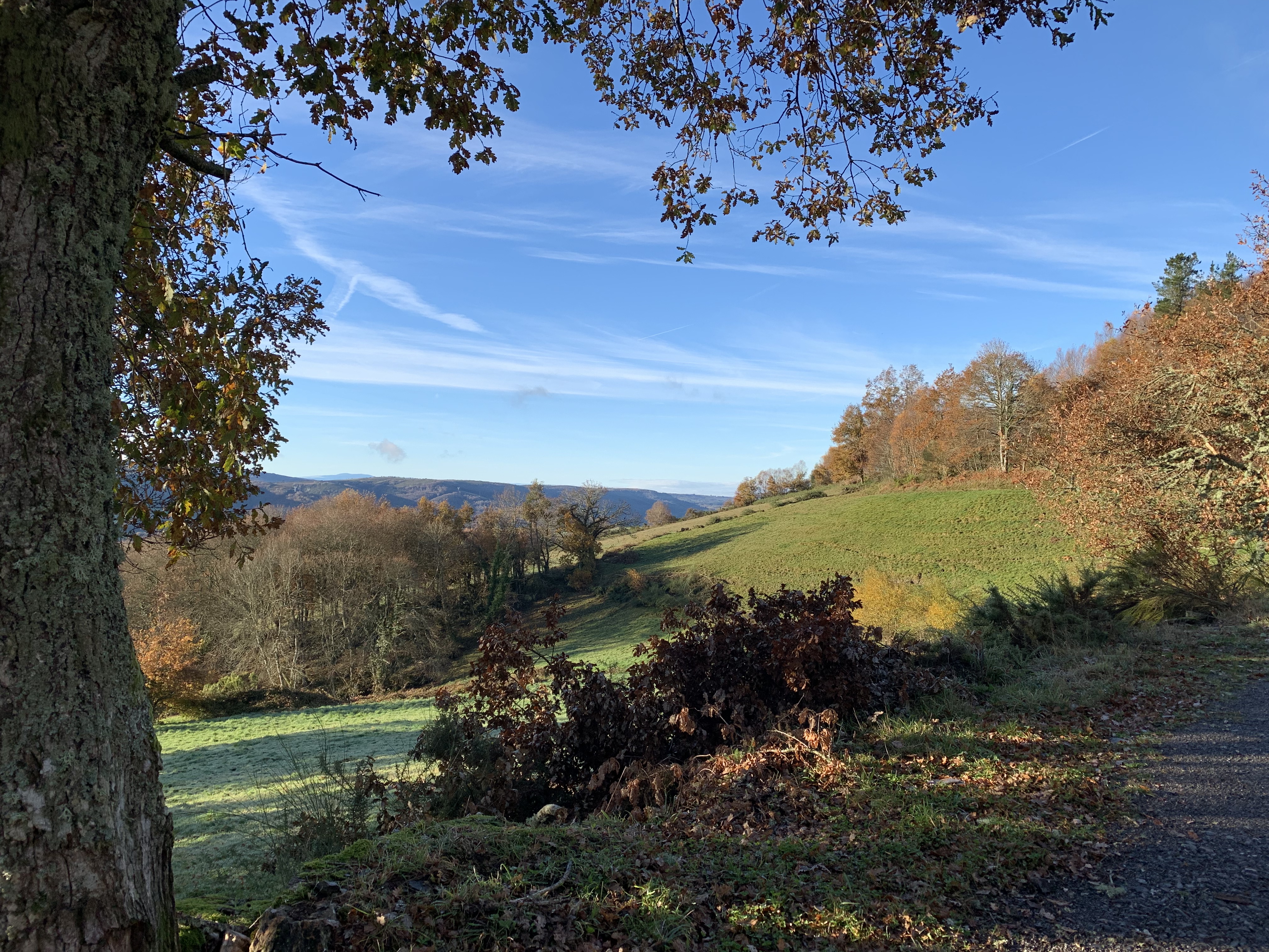A scenic view of rolling hills and trees under a clear blue sky, showcasing the vibrant fall foliage and a peaceful landscape.