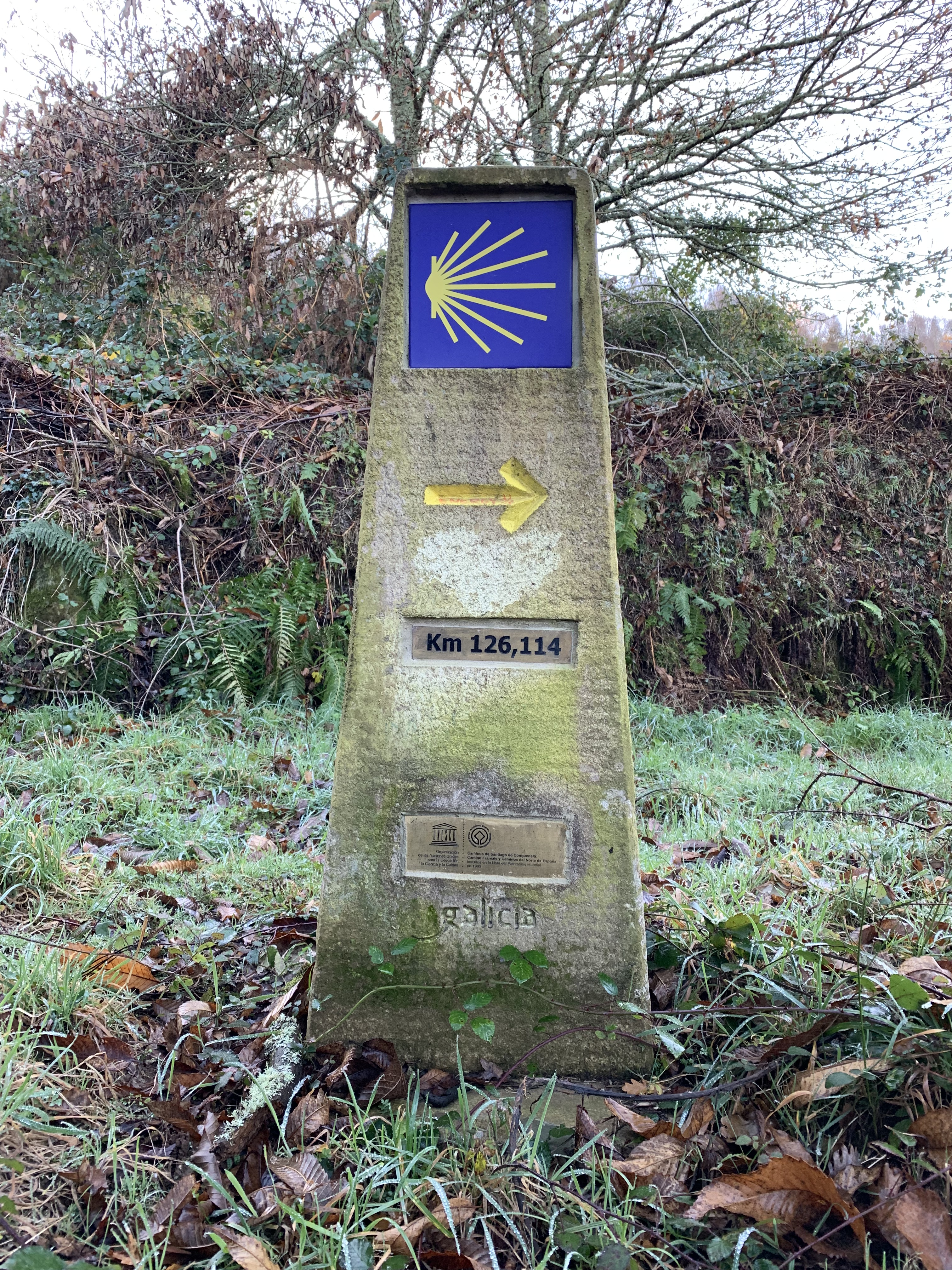 A stone signpost with a yellow shell symbol and an arrow pointing right, indicating the distance of 126 kilometers to Santiago de Compostela, surrounded by greenery.