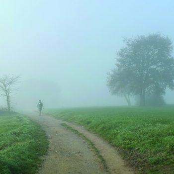 Mentors in the single life offering guidance and perspective